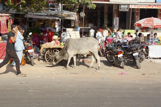 Urlaub in Indien 2016